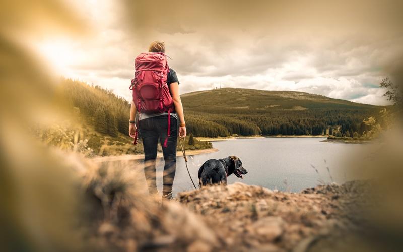 lakes in Austria with dogs hiking vacation