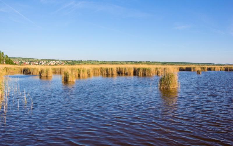 Neusiedl Lake weather Austria