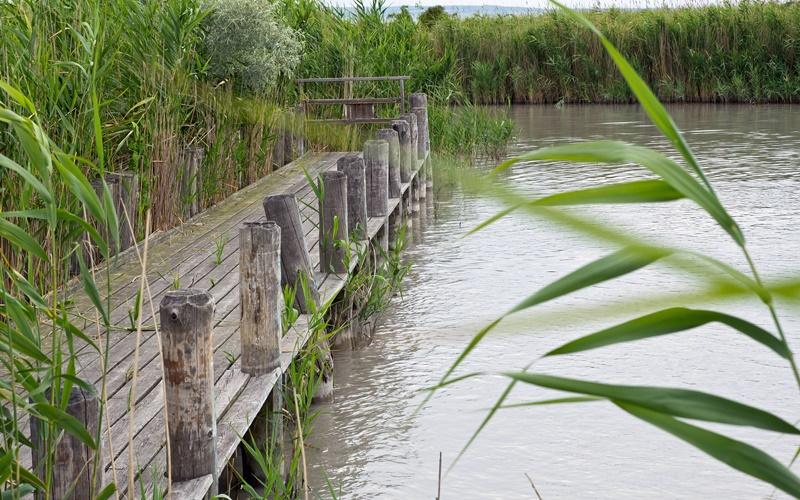 Neusiedl Lake Burgenland