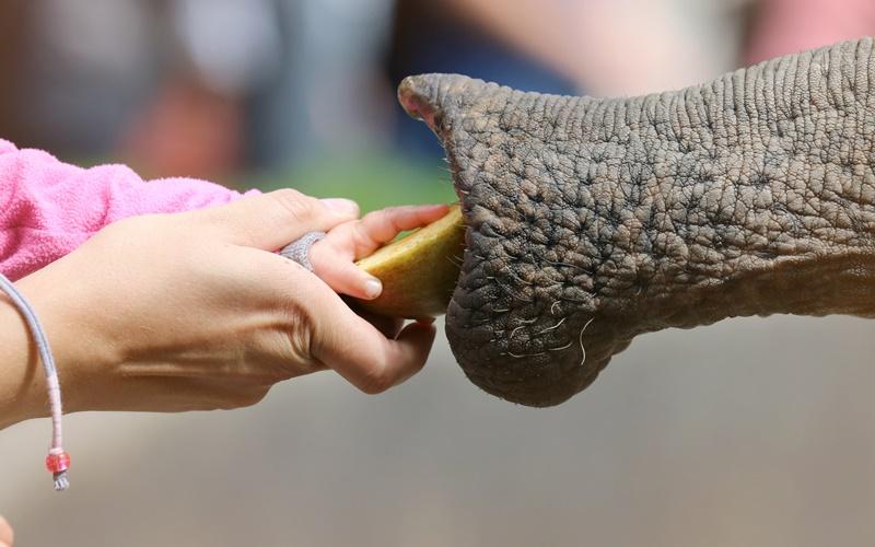 Hagenbeck Tierpark Hamburg Sehenswürdigkeiten
