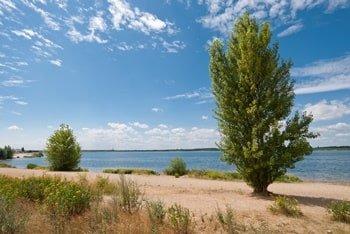 Cospudener See