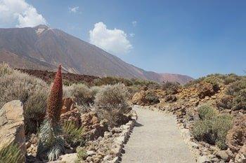Campeggio Nauta escursione Teide